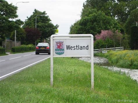 westland holandia|Westland 